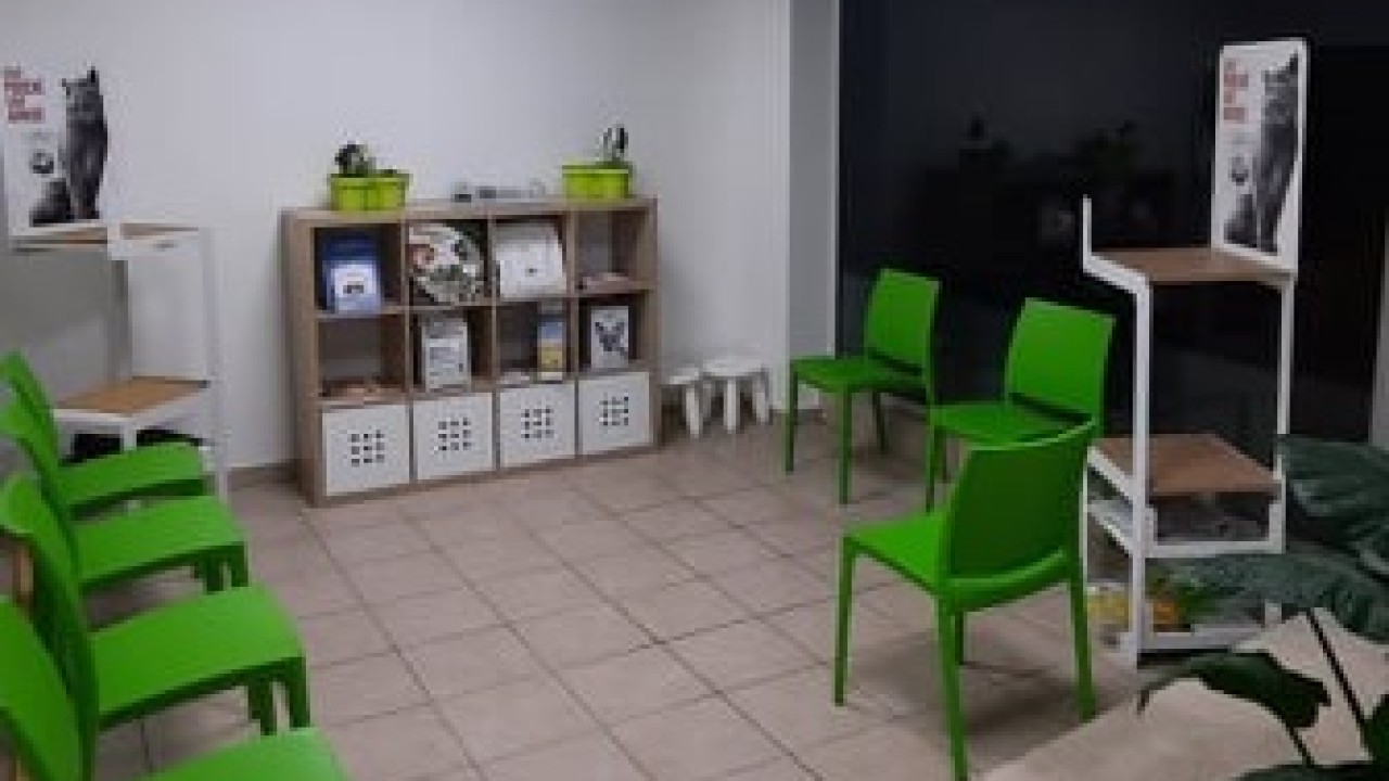 Sallle d'attente pour les chats